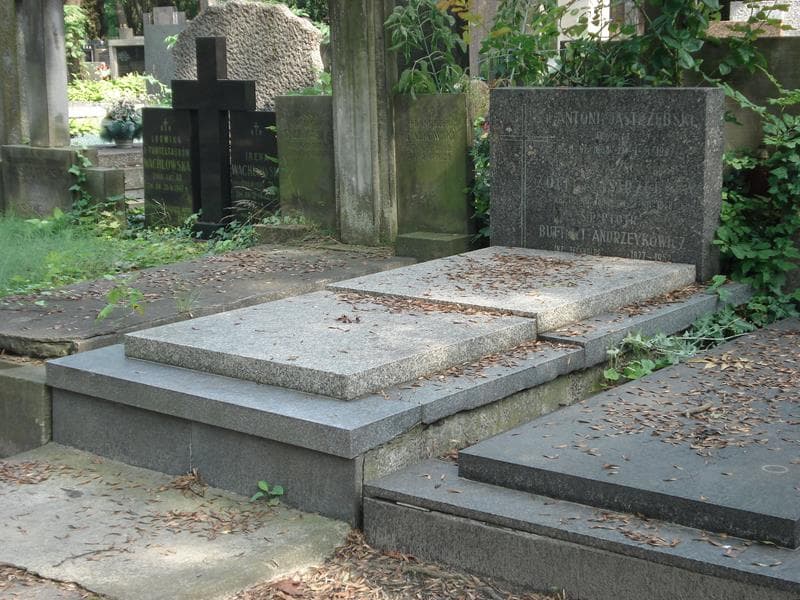 Zdjęcie grobu Piotr Buttowt-Andrzeykowicz (1)