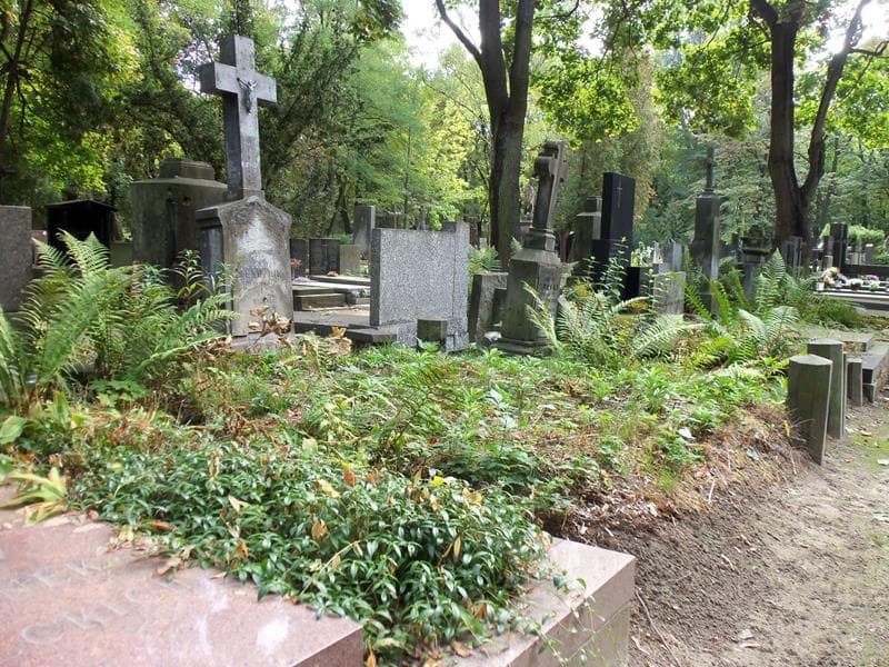 Zdjęcie grobu Eugenia Sendziuk (1)
