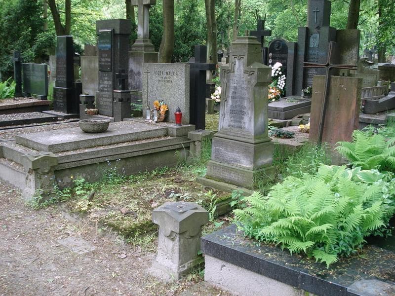 Zdjęcie grobu: Marja Leszczyńska