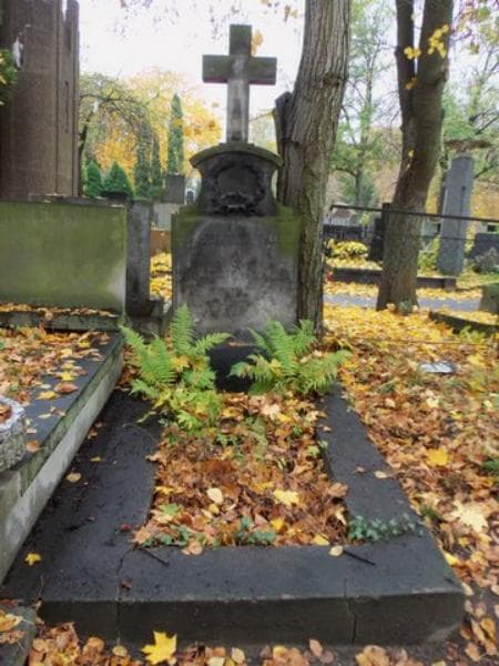 Zdjęcie grobu: Wanda Sieheń