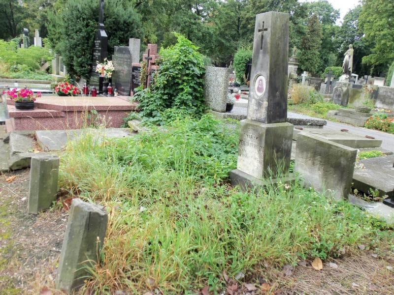 Zdjęcie grobu Emeryk Zdrojewski (1)