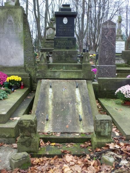 Zdjęcie grobu: Bronisława Nagawiecka