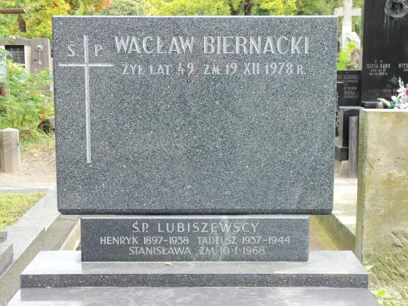 Zdjęcie grobu Henryk Lubiszewski (2)