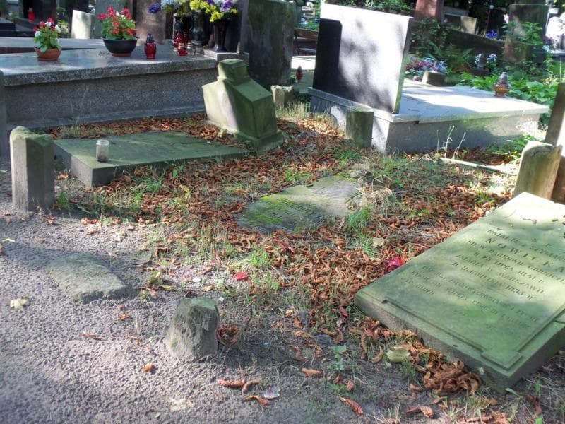 Zdjęcie grobu Wincenty Bem (1)