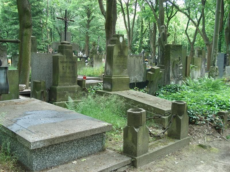 Zdjęcie grobu Tadeusz Bogdan Cynk (1)