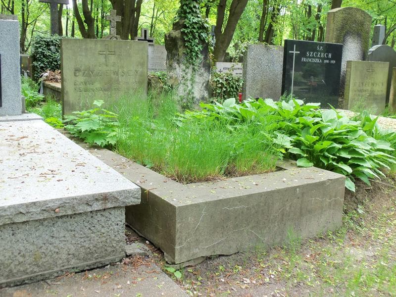 Zdjęcie grobu Emil Czyżewski (1)