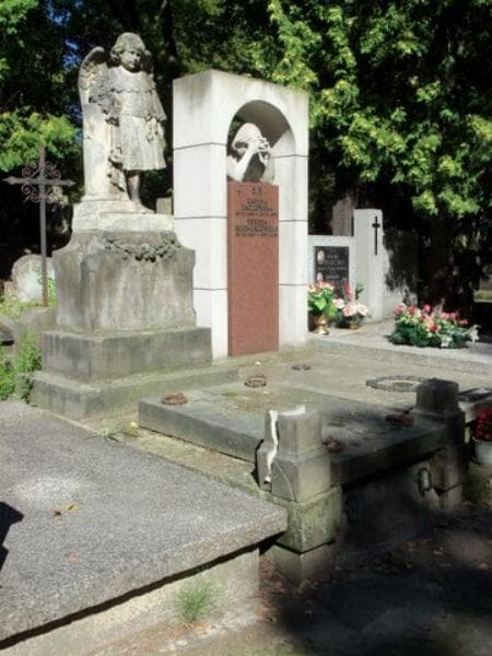 Zdjęcie grobu Marychna Niemczyńska (1)