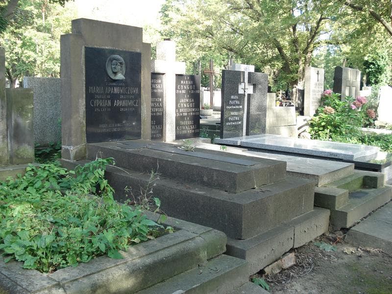 Zdjęcie grobu Cyprian Apanowicz (1)