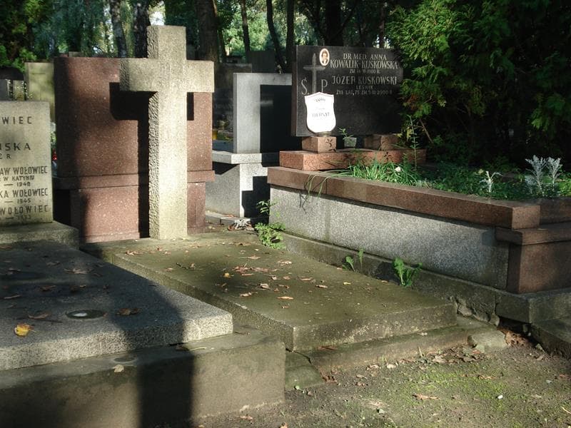 Zdjęcie grobu Bronisława Wasilewska (1)