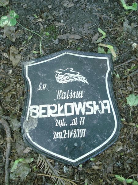 Zdjęcie grobu Pole Grobowe / Głowacki, Berłowska (2)