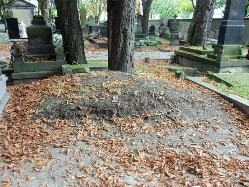 Zdjęcie grobu: Pole Grobowe