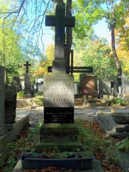 Zdjęcie grobu Józefa Goźlińska (2)