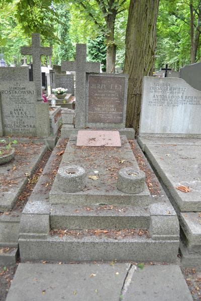Zdjęcie grobu Bolesław Michalski (1)