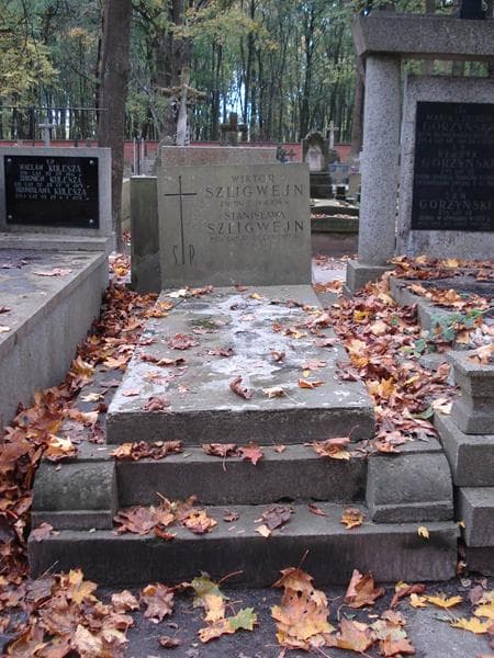 Zdjęcie grobu: Stanisława Szligwejn