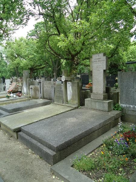 Zdjęcie grobu Ludwika Żyliczowa (1)