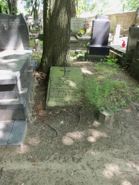Zdjęcie grobu: Julja Tyska