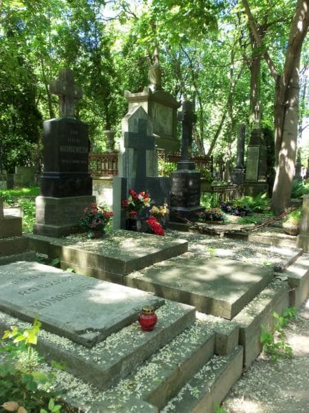 Zdjęcie grobu Juljan Warungiewicz (1)