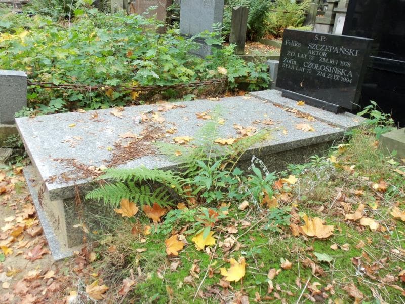 Zdjęcie grobu Zofia Czołosińska (1)