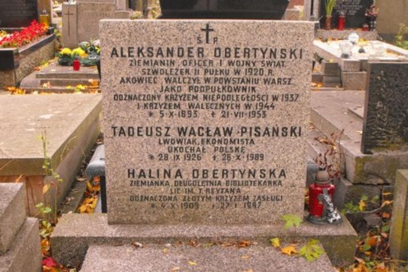 Zdjęcie grobu Aleksander Obertyński (2)