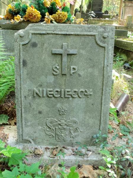 Zdjęcie grobu Niecieccy (2)