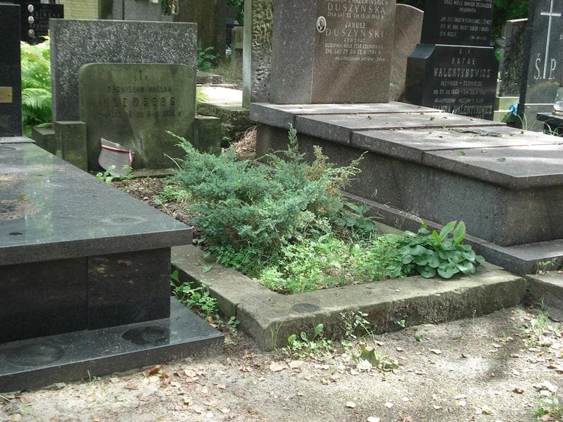 Zdjęcie grobu Bronisław Wacław Klemberg (1)