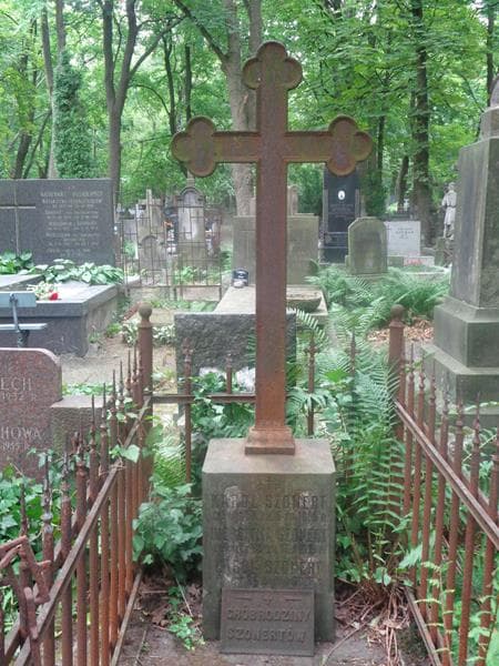 Zdjęcie grobu Antos Piltz (2)