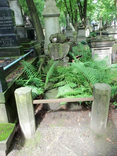 Zdjęcie grobu Teodor Krzyżanowski (1)
