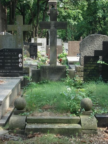 Zdjęcie grobu: Ludwik Wasilewski