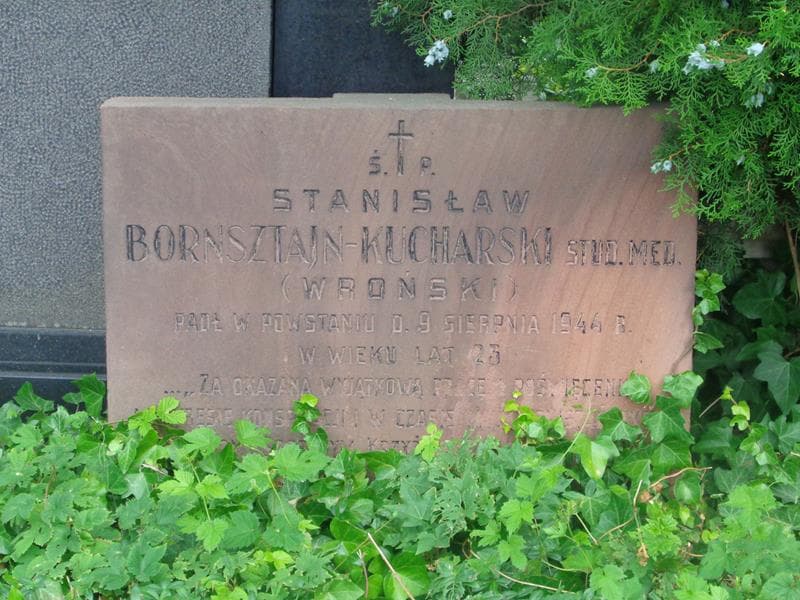Zdjęcie grobu Stanisław Bornsztajn - Kucharski (2)
