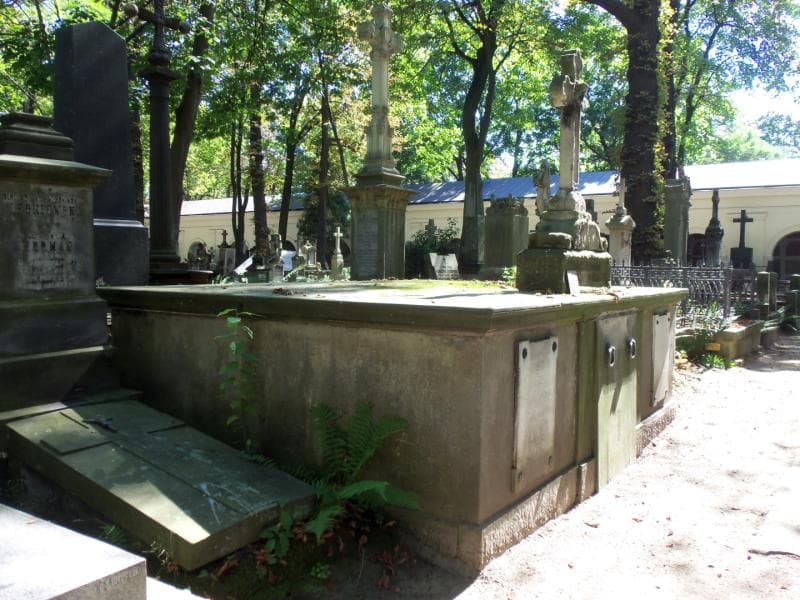 Zdjęcie grobu Danuta Lewenstein (1)