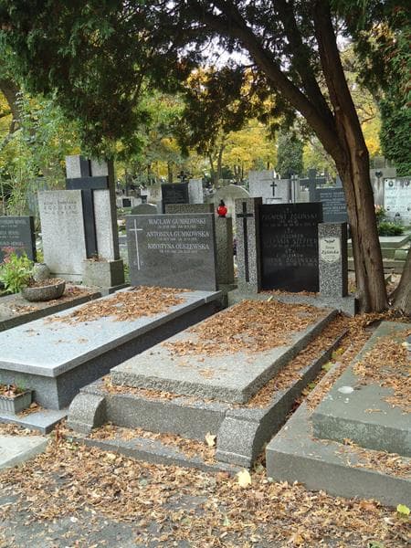 Zdjęcie grobu Irena Zglińska (1)