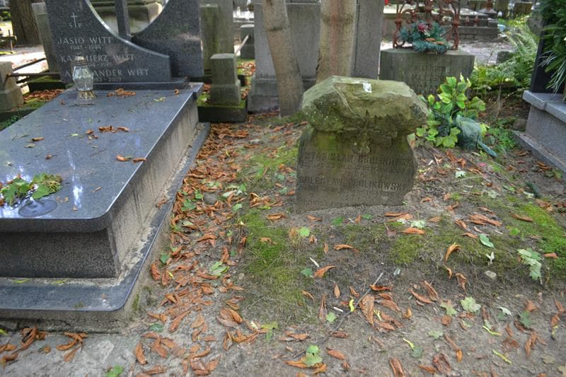 Zdjęcie grobu Stanisław Brulikowski (1)