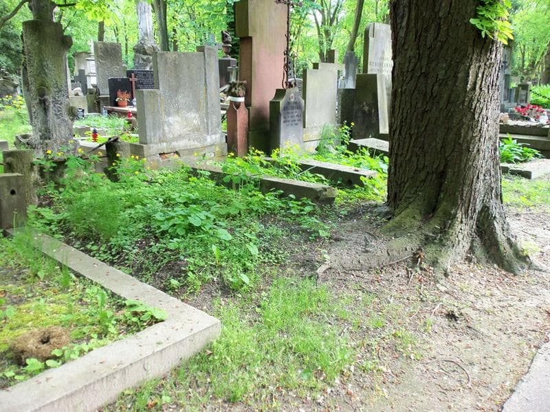 Zdjęcie grobu Anonim (1)
