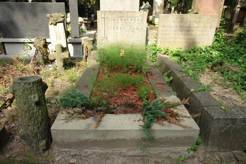 Zdjęcie grobu Ludomir Mieczysław Kośmiński (1)