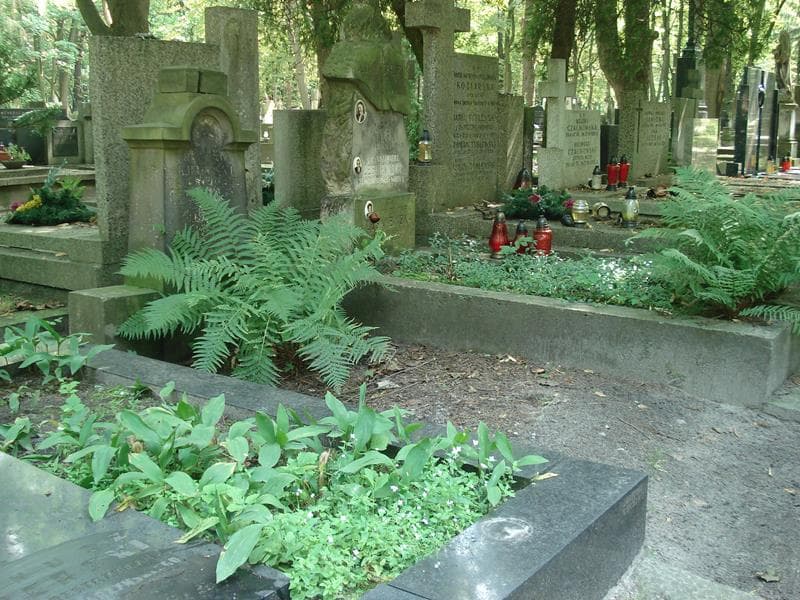 Zdjęcie grobu Mieczysław Kryński (1)
