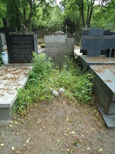 Zdjęcie grobu: Kazimierz Szerszyński