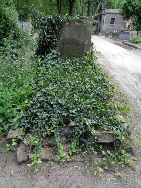 Zdjęcie grobu Zofia Dobrowolska (1)