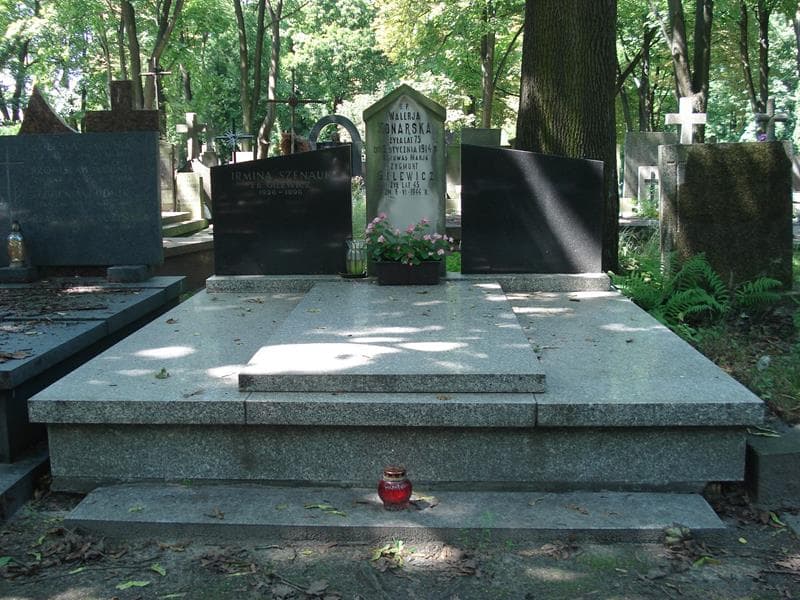 Zdjęcie grobu: Irmina Szenauk