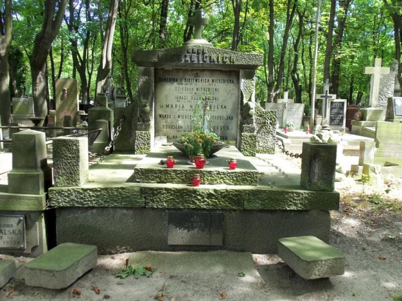Zdjęcie grobu Bogusław Teodor Pfeffer (1)