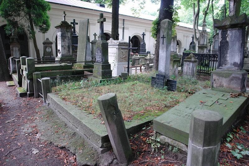 Zdjęcie grobu: Eleonora Czyżewska