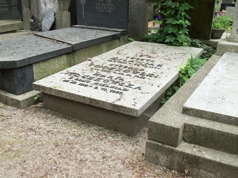 Zdjęcie grobu Ryszard Toczkowski (2)