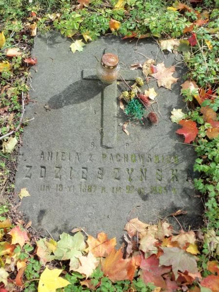Zdjęcie grobu Aniela Zdzieszyńska (1)