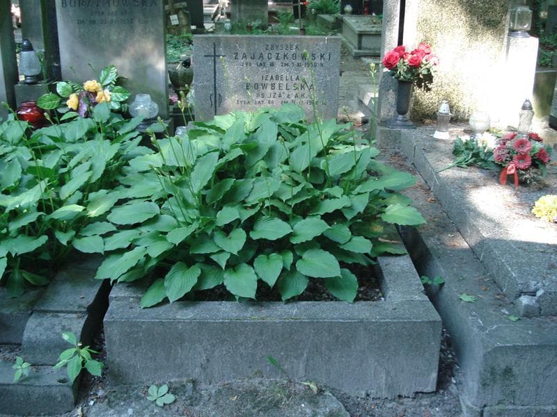 Zdjęcie grobu: Izabella Bowbelska