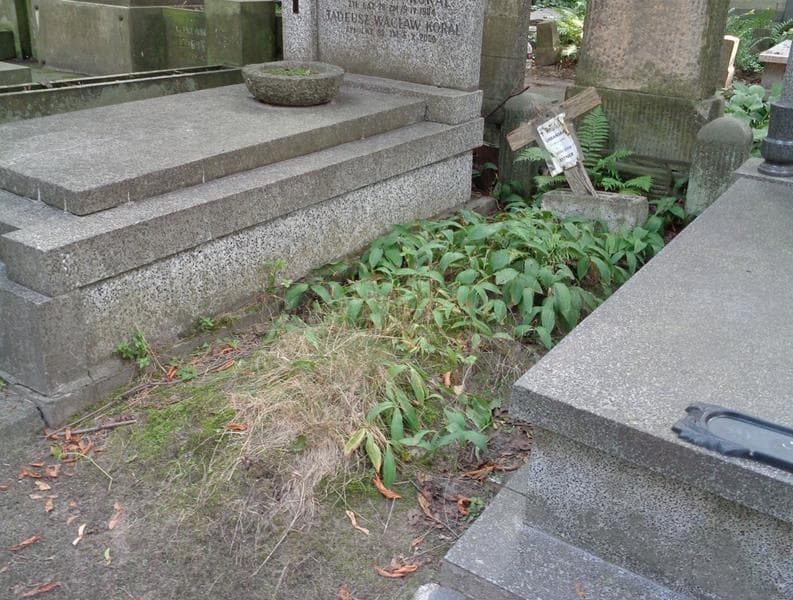 Zdjęcie grobu: Bolesław Bytner