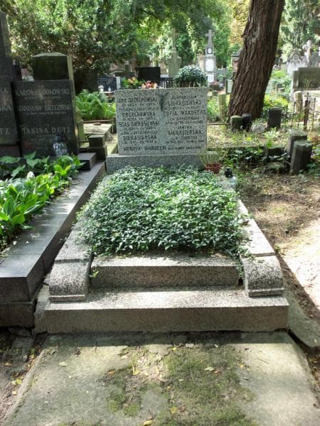 Zdjęcie grobu Henryk Wardecki (1)