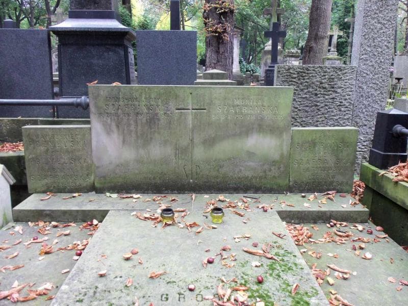 Zdjęcie grobu Justyna Przyłuska (2)