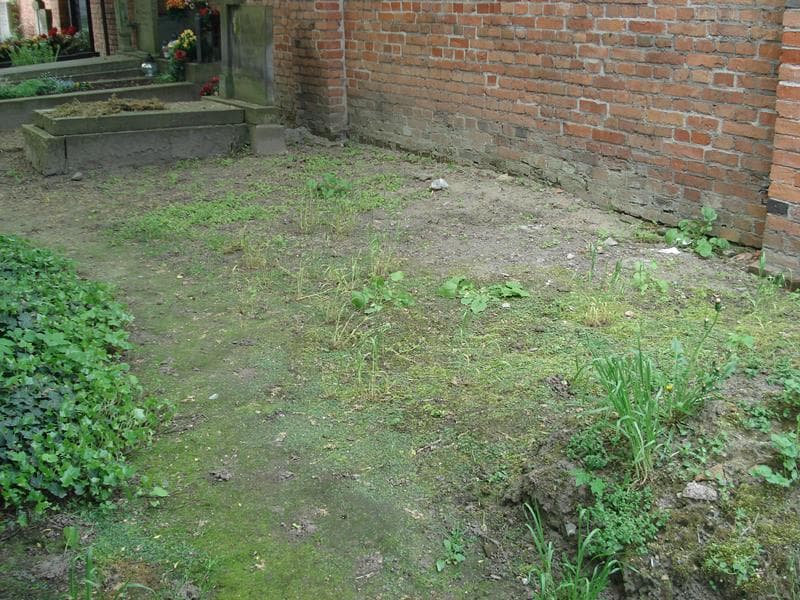 Zdjęcie grobu: Pole Grobowe