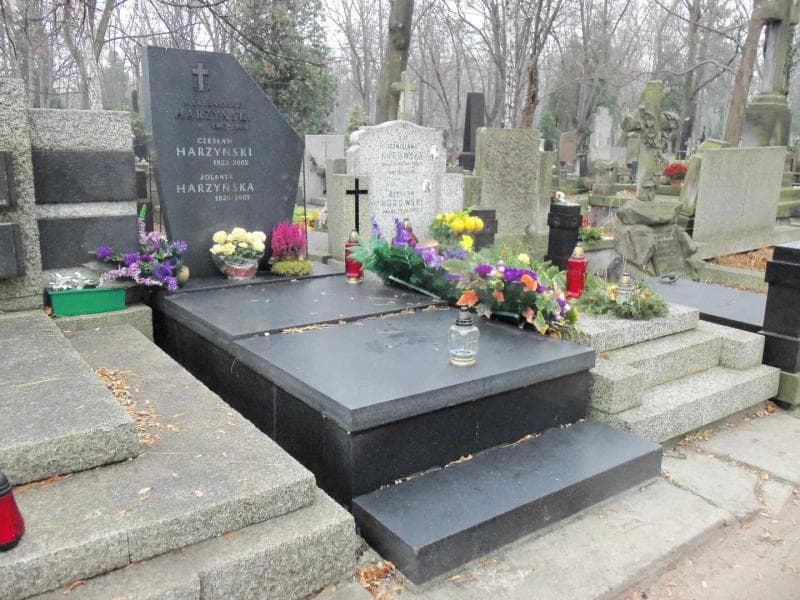 Zdjęcie grobu Czesław Harzyński (1)