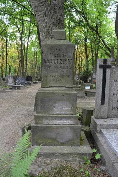 Zdjęcie grobu Tadeusz Kobierzycki (2)