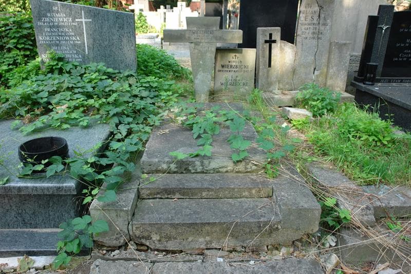 Zdjęcie grobu Zofia Elżbieta Rysińska (1)